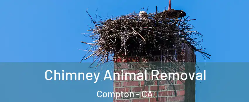 Chimney Animal Removal Compton - CA